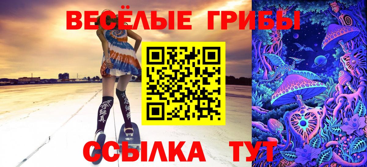 Галлюциногенные грибы GOLDEN TEACHER  Вход с VPN  Воронеж 